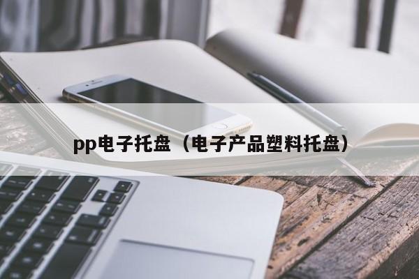 pp电子托盘（电子产品塑料托盘）