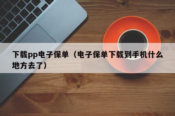 下载pp电子保单（电子保单下载到手机什么地方去了）